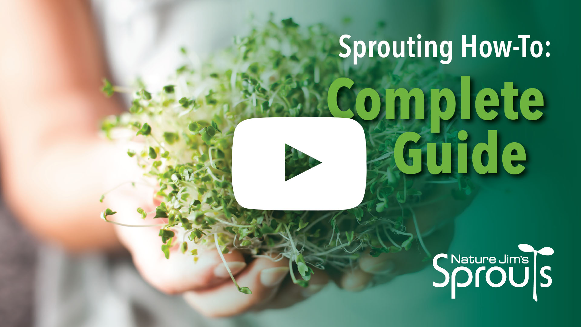 Sprouting How-To: A Complete Guide